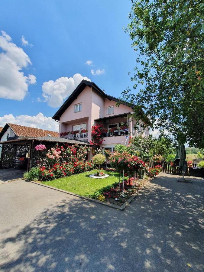 Apartman Vesna Bjelovar Exterior photo